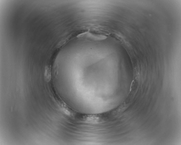 X0000068320471200605122101