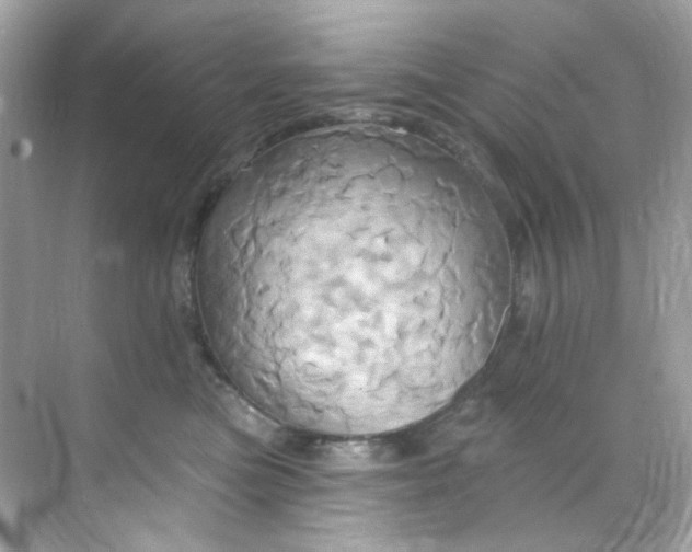 X0000068320473200605122101