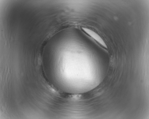 X0000068320474200605122101