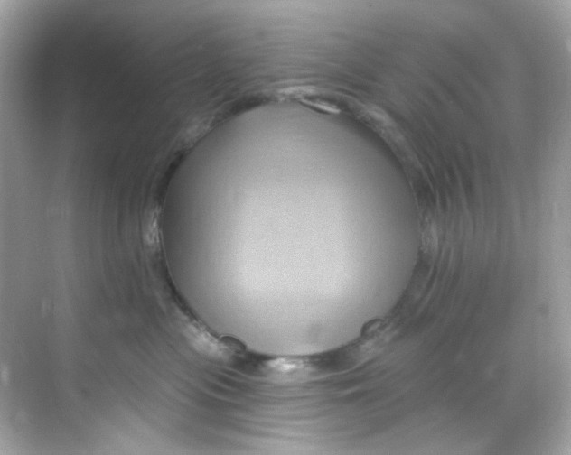 X0000068320477200605122101
