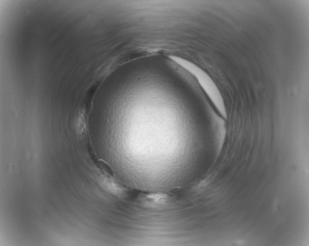 X0000068320478200605122101