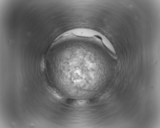 X0000068320479200605122101