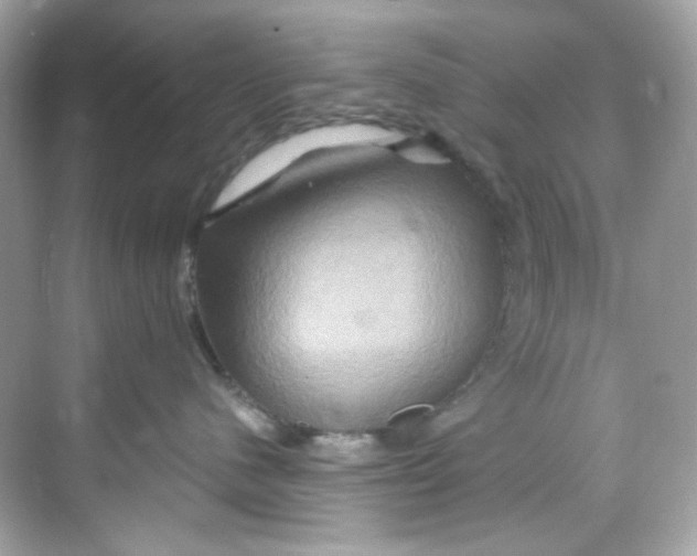 X0000068320480200605122101