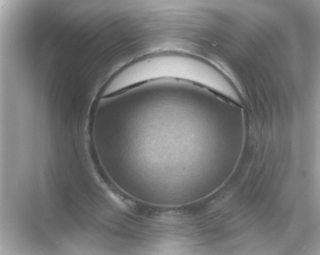 X0000068320485200605122100