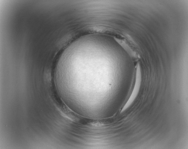 X0000068320500200605122100