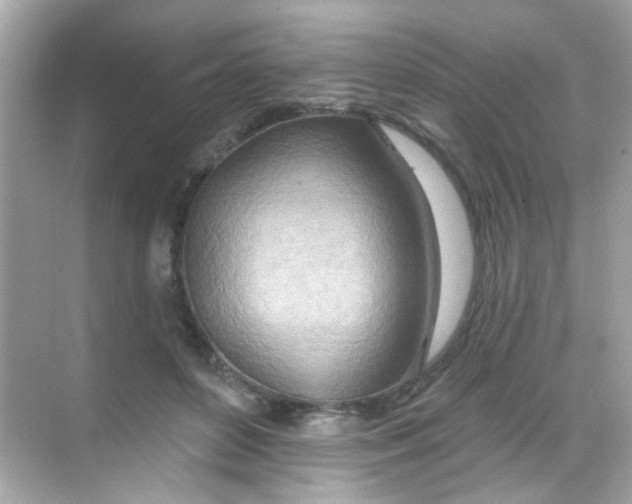 X0000068320504200605122100