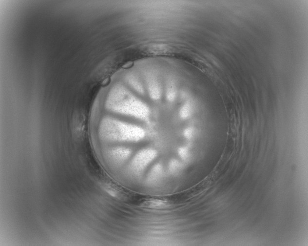 X0000068320507200605122100