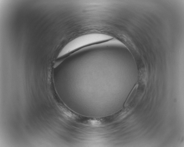 X0000068320509200605122100