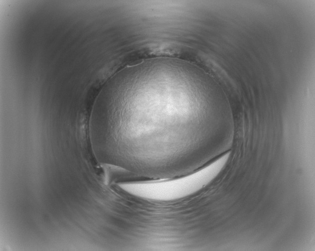 X0000068320513200605122100