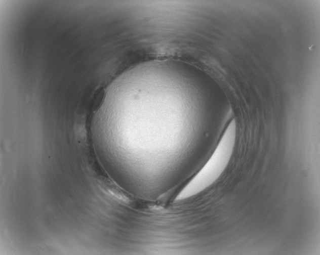 X0000068320516200605122100