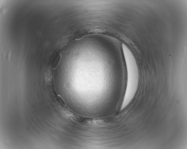 X0000068320517200605122100