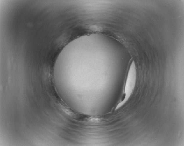 X0000068320518200605122100
