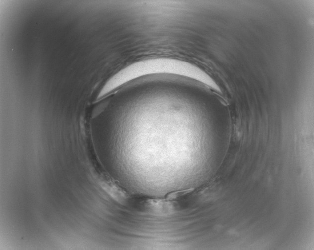 X0000068320520200605122100