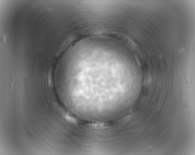 X0000068320524200605122059