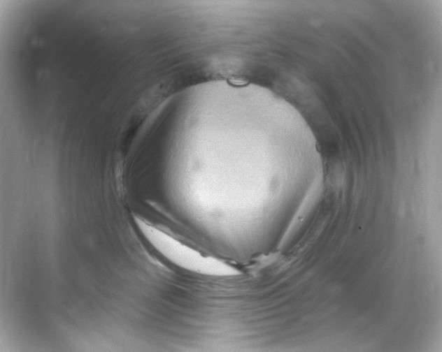 X0000068320526200605122059