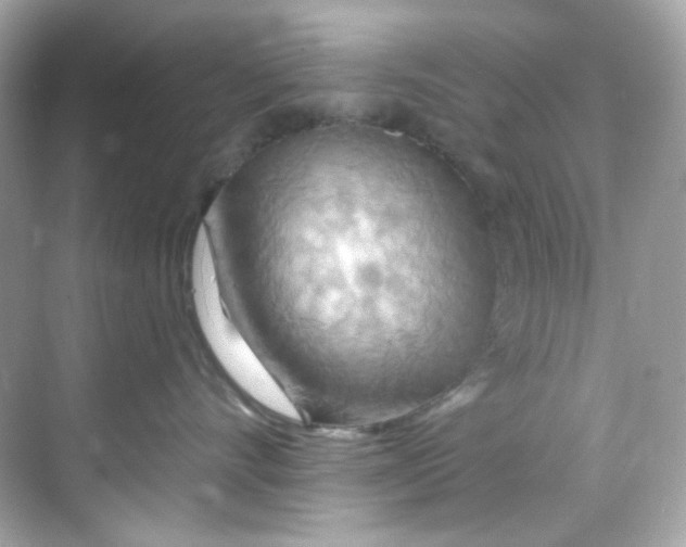 X0000068320528200605122059