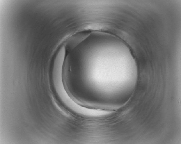 X0000068320530200605122059
