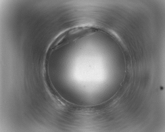 X0000068320532200605122059