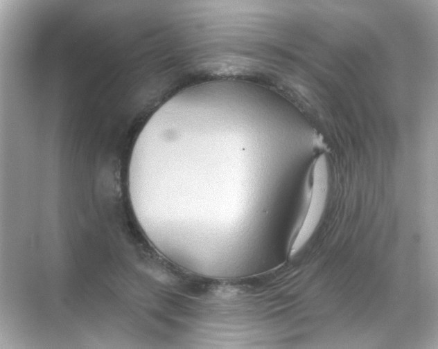 X0000068320547200605122059