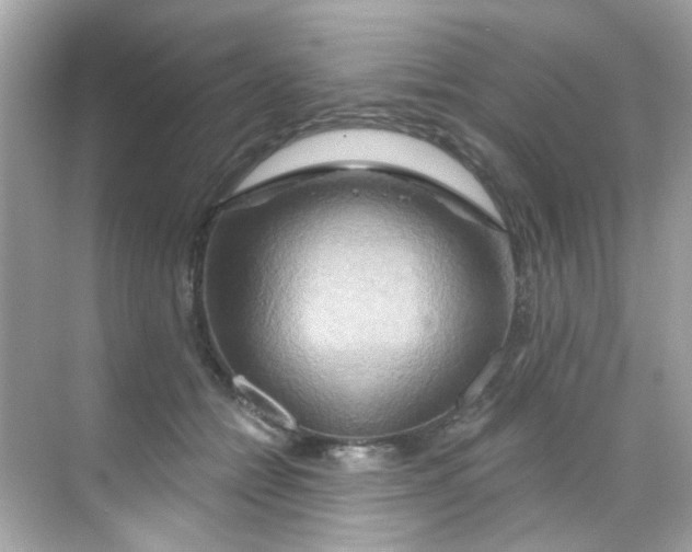 X0000068320558200605122059