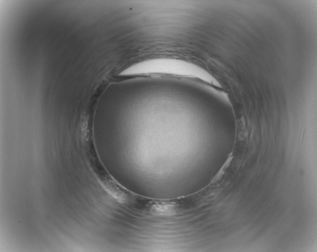 X0000068320560200605122059