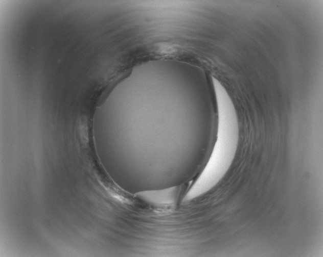 X0000068320562200605122059
