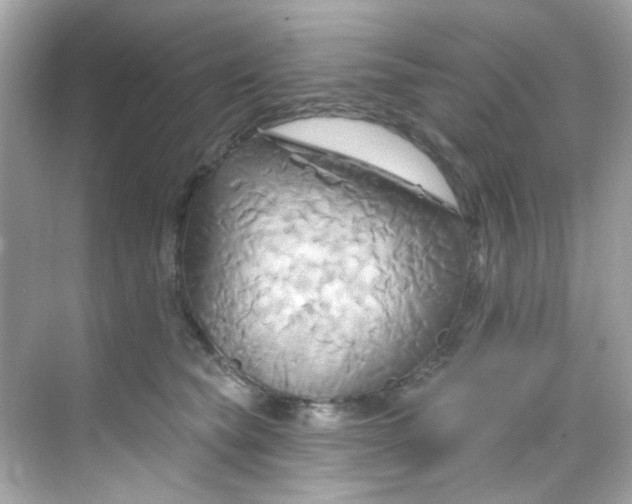 X0000068320565200605122059