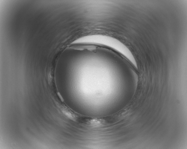 X0000068320566200605122059