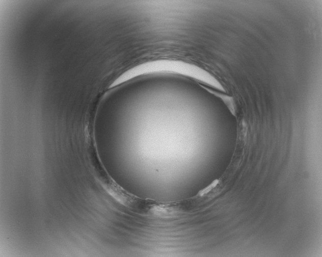 X0000068320568200605122059