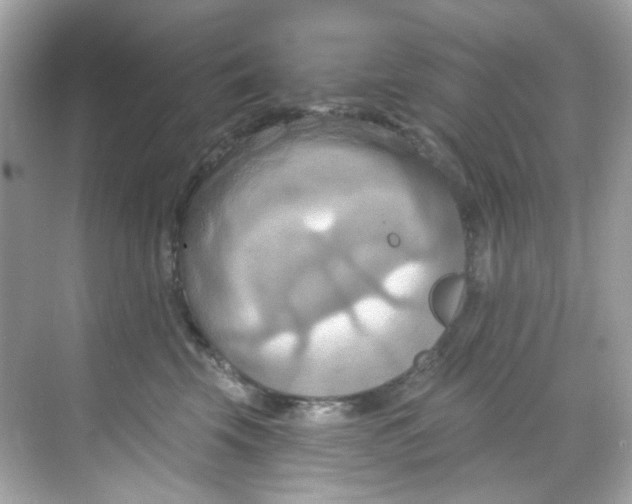 X0000068320569200605122059