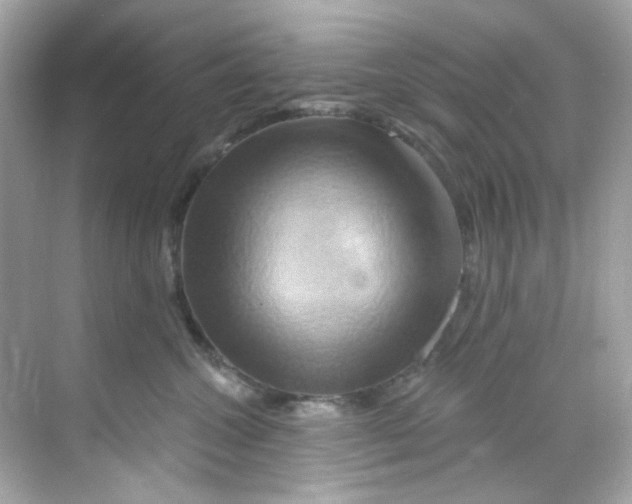 X0000068320572200605122059