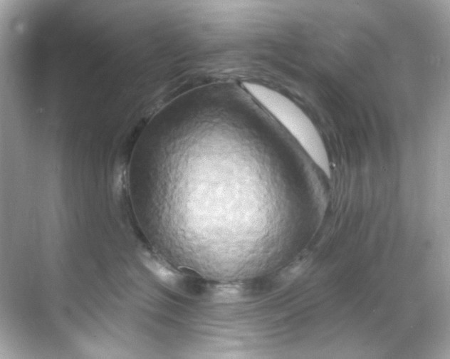 X0000068320574200605122059