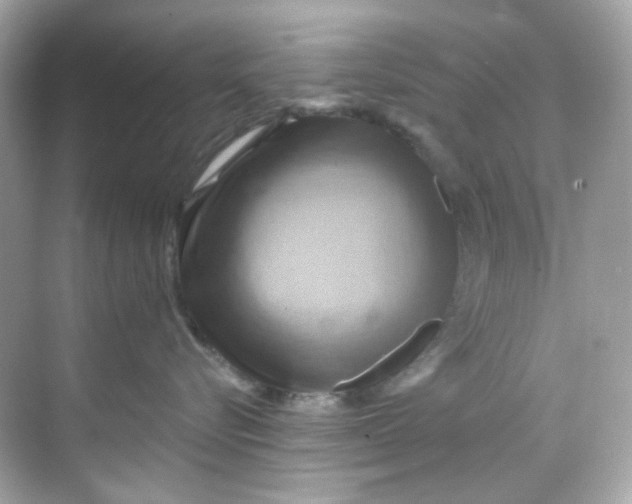 X0000068320576200605122059