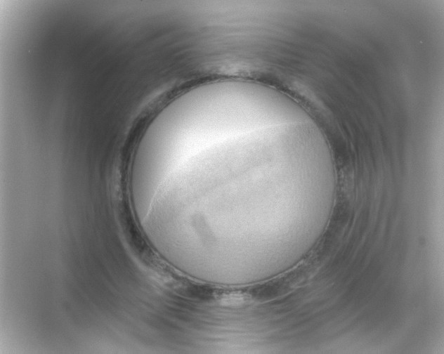 X0000068320587200605122058
