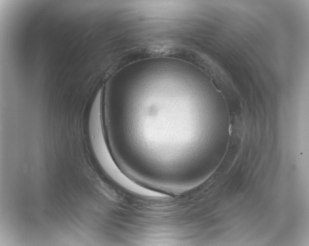 X0000068320601200605122058