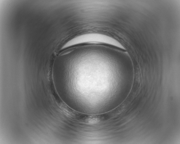 X0000068320604200605122058