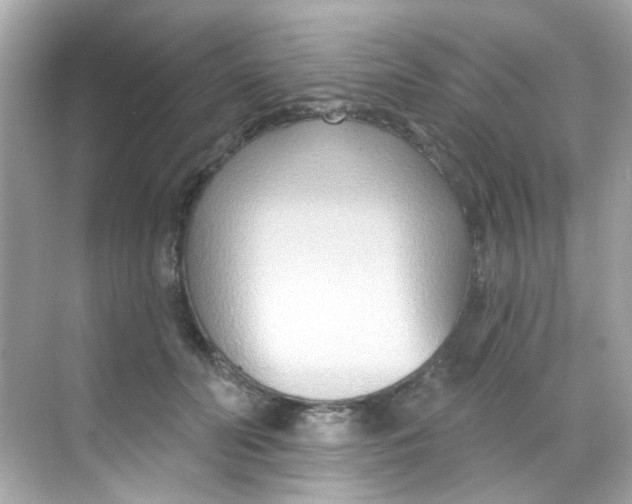 X0000068320606200605122058