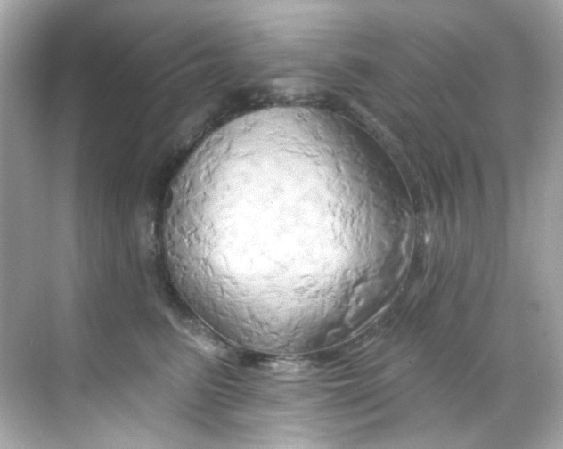 X0000068320615200605122058