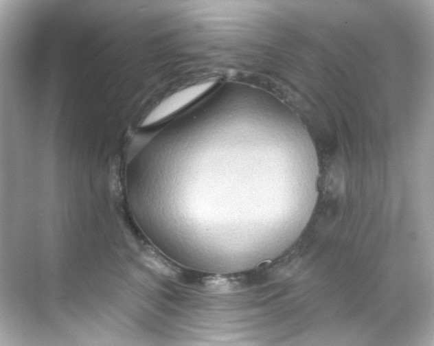 X0000068320616200605122058