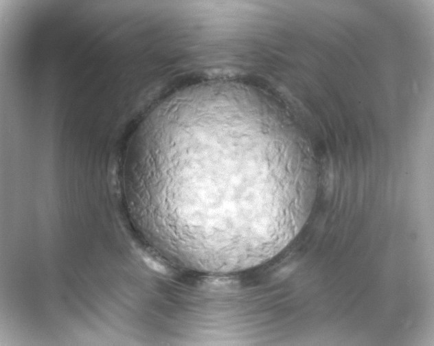 X0000068320619200605122058