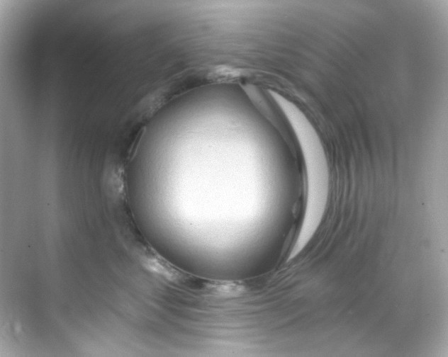 X0000068320621200605122058