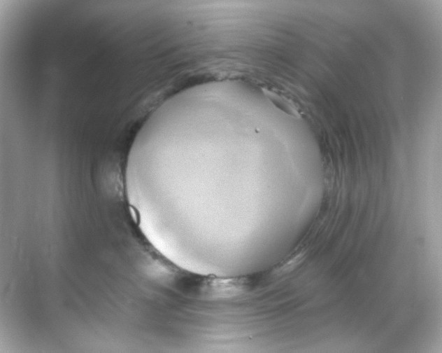 X0000068320622200605122058