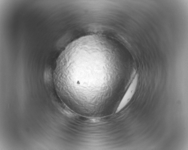 X0000068320623200605122058