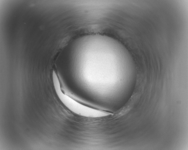 X0000068320624200605122058