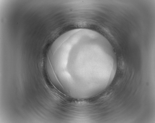 X0000068320645200605122057