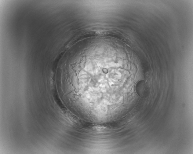 X0000068320650200605122057