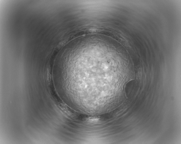X0000068320651200605122057