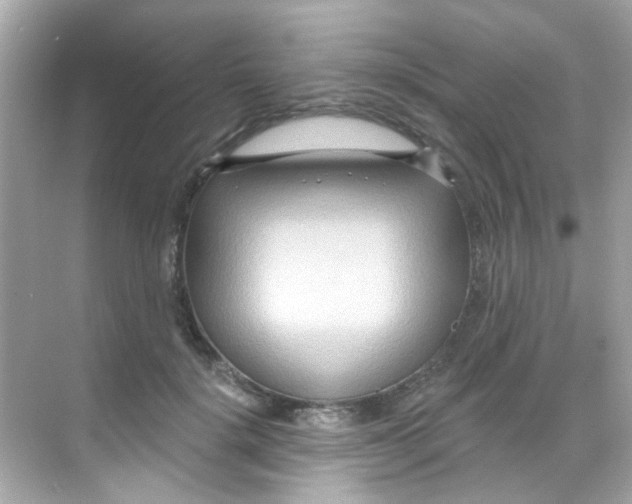 X0000068320652200605122057