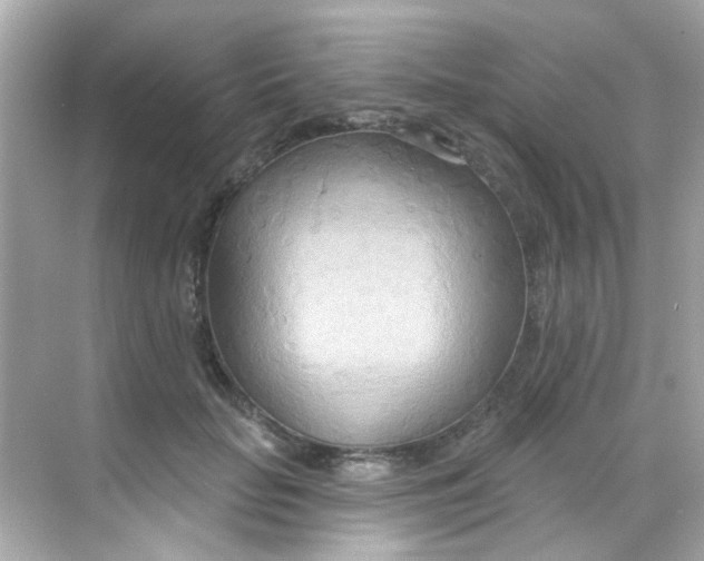 X0000068320653200605122057