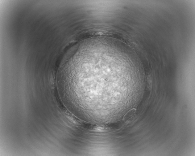 X0000068320657200605122058